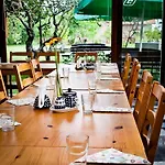 Bed & Breakfast Gosciniec Gryszczeniowka &