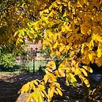 Bed & Breakfast Gosciniec Gryszczeniowka & 3*