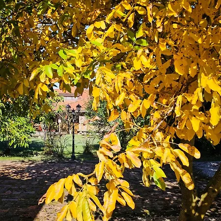 Bed & Breakfast Gosciniec Gryszczeniowka & 3*