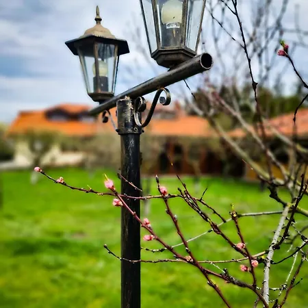 Gosciniec Gryszczeniowka & فندق مبيت وإفطار Wargowo