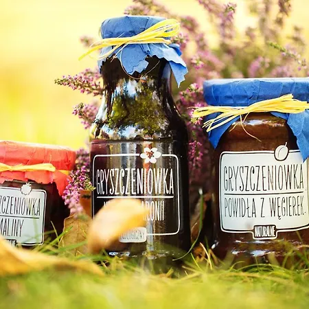 Gosciniec Gryszczeniowka & Wargowo