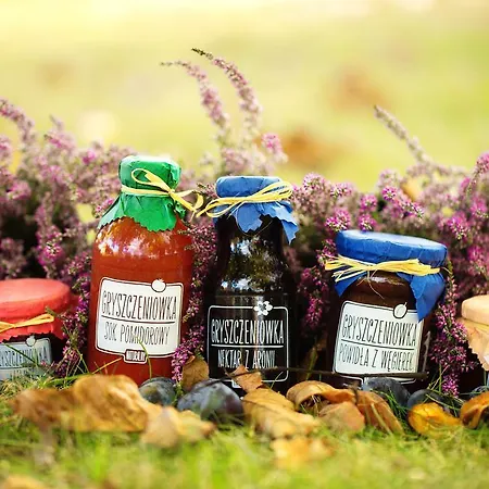 Gosciniec Gryszczeniowka & Panzió Wargowo