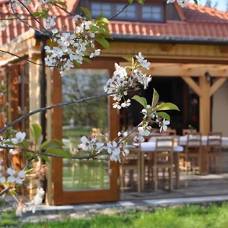 Gryszczeniówka&spa