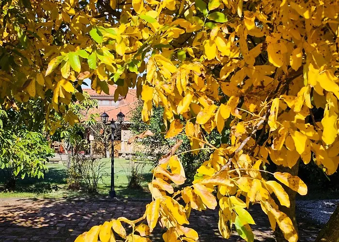 Bed & Breakfast Gosciniec Gryszczeniowka & 3*