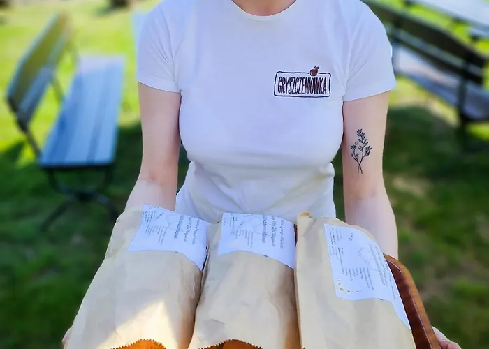 Nocleg ze śniadaniem Gryszczeniówka 3*