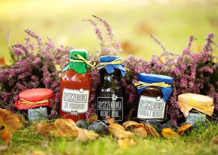 Gosciniec Gryszczeniowka & Bed & Breakfast Wargowo