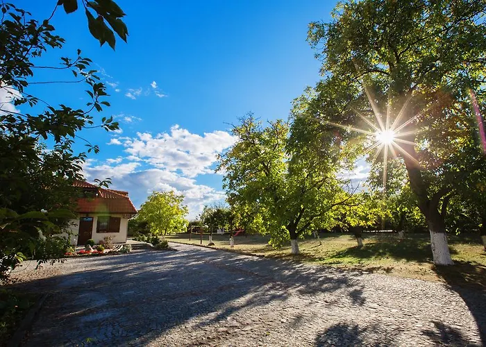 Gryszczeniówka Wargowo