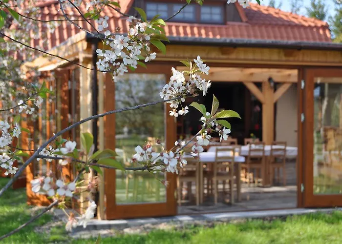 Gosciniec Gryszczeniowka &