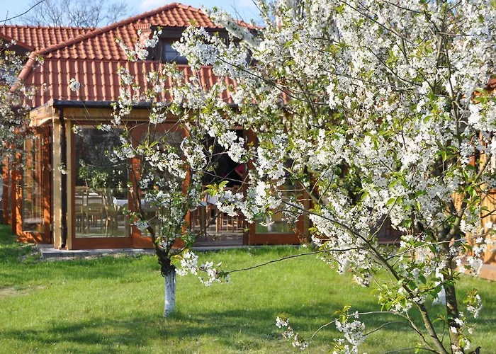 Gryszczeniówka Nocleg ze śniadaniem